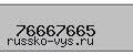 Введите проверочный код: 76667665