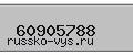 Введите проверочный код: 60905788