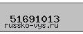 Введите проверочный код: 51691013