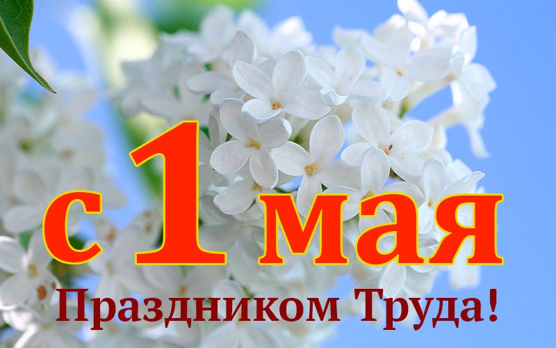 Уважаемые жители поселения! Примите самые теплые и искренние поздравления с 1 Мая – Праздником Весны и Труда!