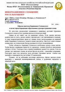 Информационное сообщение ФГБУ «Россельхозцентр» по обрезке цветков борщевика Сосновского в целях предотвращения образования и распространения семян